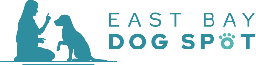 gbdemojaiden.instawp.xyz